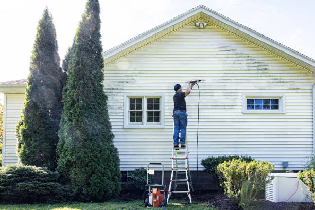Best Commercial Building Pressure Washing  in Sinton, TX