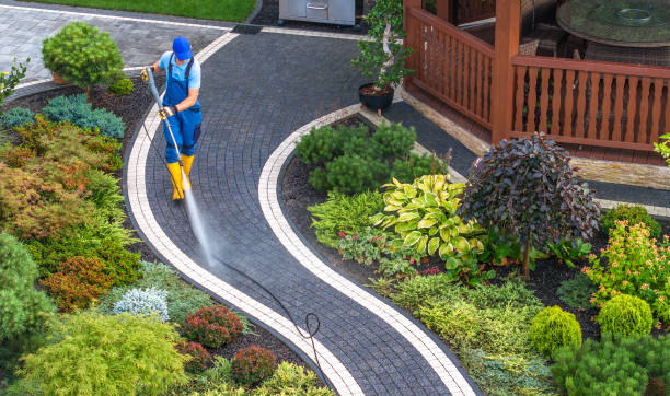 Best Roof Power Washing Services  in Sinton, TX